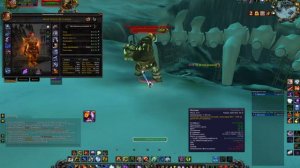 Шаман элем т5