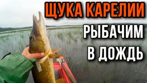 Щука Карелии, рыбачим в дождь.