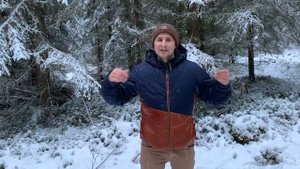 Сезонная работа в лесу в Финляндии. Сколько можно заработать и какая оплата?