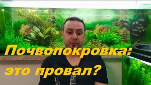 Игры с почвопокровкой. (Архив от 4.06.2022)