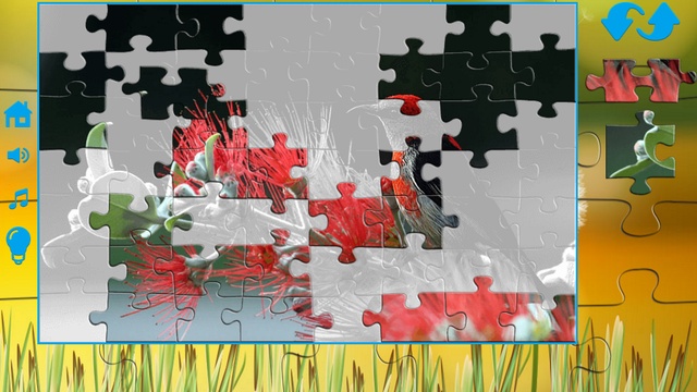 Puzzle action. Существуют ли пазлы для взрослых 16+. Ярко фабрика анимационных хитов.