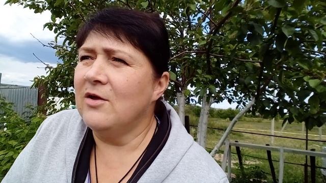 СТРИЖКА НА ГОЛО @user-kw9ih2qt2f Томаты.Мои Пеларгонии. смотреть онлайн