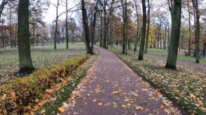 Гатчина. Гатчинский парк. осень 2020. Самый красивый парк в Ленинградской обл. Гатчинский дворец.
