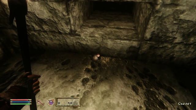 TES: Oblivion — #16 — Салки с зомби смотреть онлайн