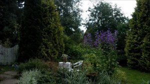 Как превратить малый сад в большой. Ландшафтные хитрости. Часть 2.