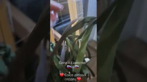 Плетение маскировочных сетей. Ростов