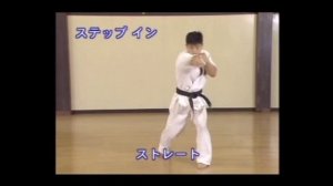 Дайдо-джуку каратэ-до. Базовая техника. Ч 1.