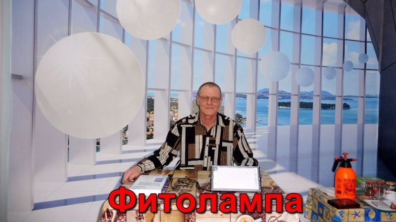 Фитолампа для Рассады Табака.