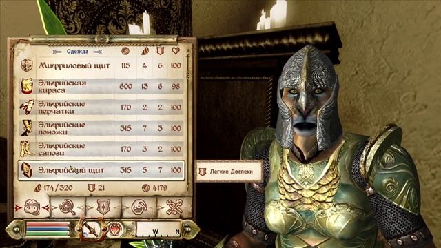 The Elder Scrolls IV: Oblivion: Пока гильдия магов приходит в себя, выясняем, куда еще податься