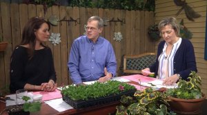 Great Gardening - 2020 Spring Special