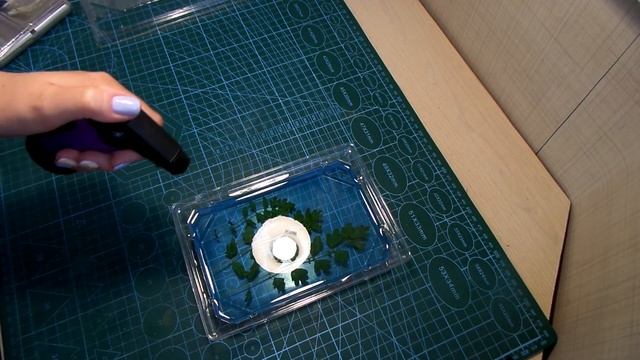 СУХОЦВЕТЫ В СМОЛЕ! Делаем оригинальный ночник! смотреть онлайн