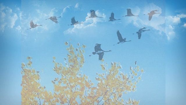 Песни для души. Я СКАЗАЛ, ЧТО ГДЕ-ТО... На стихи и-м Романа (Матюшина) смотреть онлайн