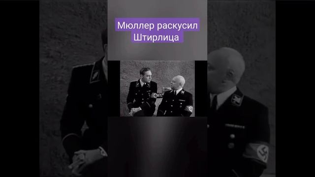 17 мгновений весны. Мюллер раскусил Штирлица. Или как снять головную боль-советы от Штирлица.