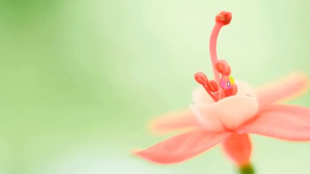 [DEVEXPRESS] CREATE IMAGE SLIDER WITH THUMBNAIL VB.NET смотреть онлайн