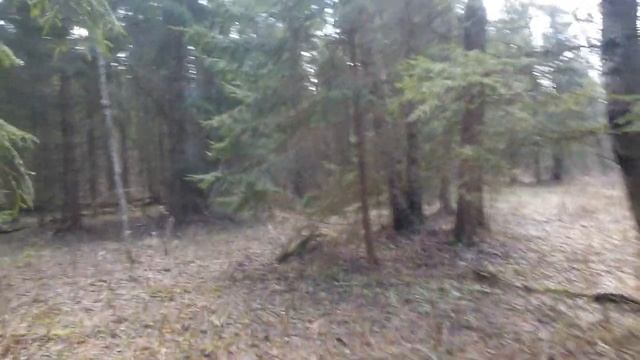 29 февраля Касьян Високос, Завистник, Корыстник. Традиции и обычаи в этот день смотреть онлайн