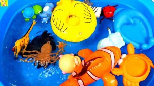 Животные для детей  учим животных на английском Коровы Свиньи Акулы Утки Полезное видео для детей