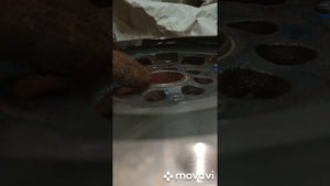 Ситроен Замена сцепление, Двухмассовый маховик. Как снять коробку передач (КПП)