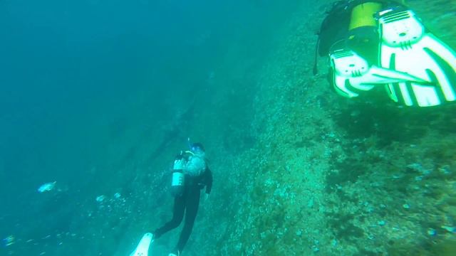 Malta dive 2 p 2 смотреть онлайн