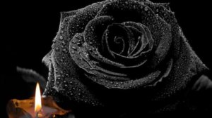 ПАМЯТИ БРАТА