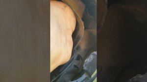 слетел тросик капота на BMW e39 что делать,как открыть