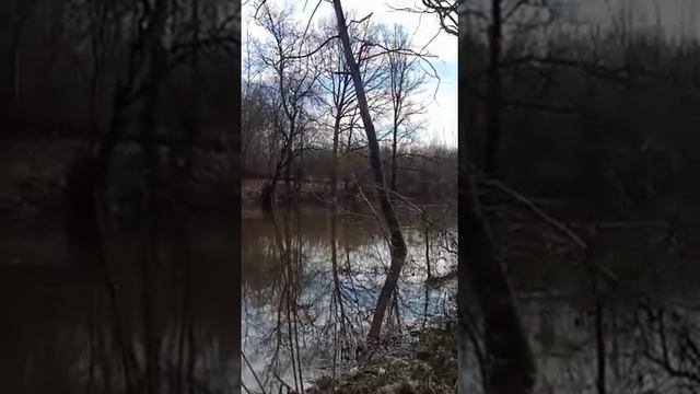 звуки дикой природы. Кайф. рыбалка на реке рыбалка в республике Марий Эл