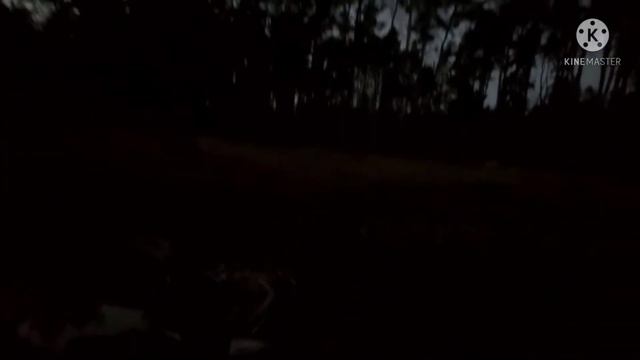 Идём на кладбище😃😱😱 смотреть онлайн