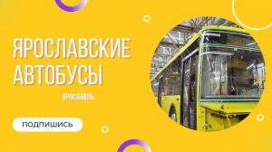 Ярославские автобусы | транспорт
