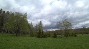 В лес 2 июня 2018г  (2часть)