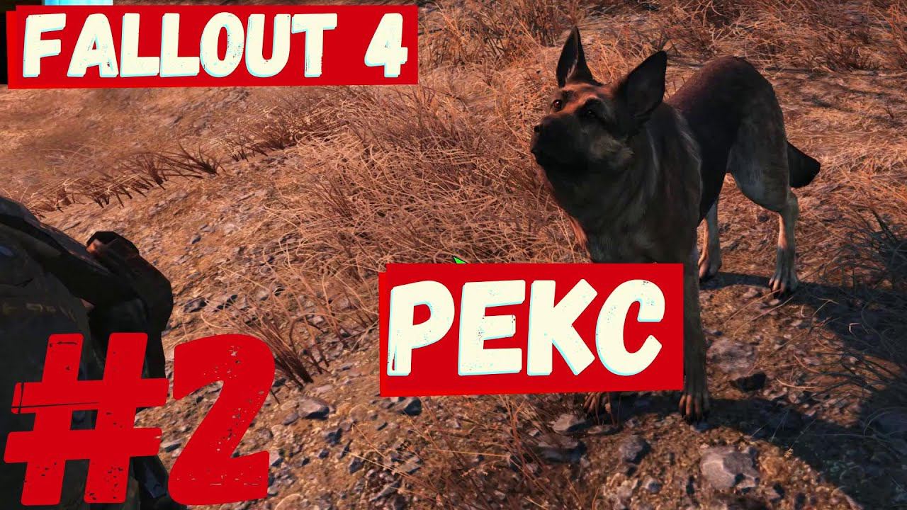 Fallout 4 - (Рекс) #2