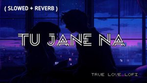 TU JANE NA ( SLOWED AND REVERB ) AJAB PREM KI GAJAB KAHANI || TRUE LOVE LOFI || ATIF ASLAM SONG ||