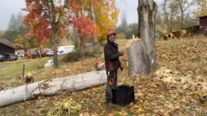 Tree Felling With August Hunicke! Tree Work in Oregon