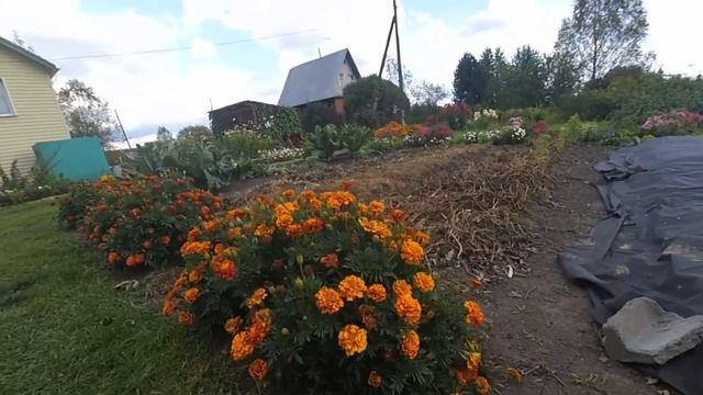 Как я улучшаю плодородие почвы смотреть онлайн