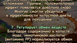 Удивительная польза КВАШЕНОЙ КАПУСТЫ