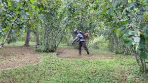 FINDIK BAHÇESİNE TIRPAN ATIYORUZ