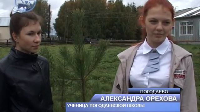 деревья памяти в погодаево