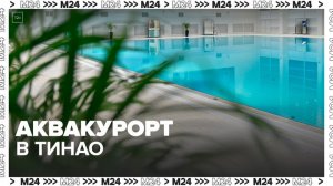 Крупнейший аквакурорт в стране построят в ТиНАО — Москва 24