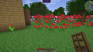 Minecraft. Первый день в игре . Строю дом