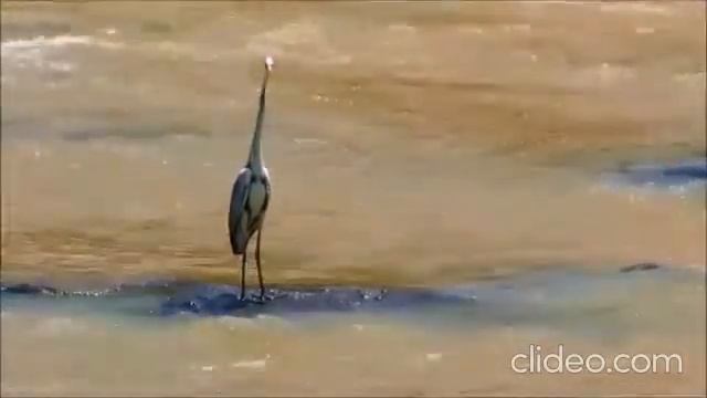 Желаю крепкого здоровья и всего лучшего.что может сам себе пожелать человек.а Бог дать человеку. смотреть онлайн