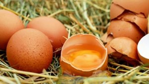 Что делать при ожогах? Как лечить ожоги? Народные методы. Народные средства. Народная медицина. Жир