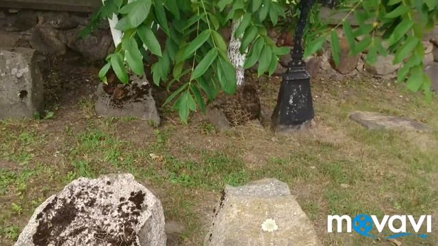БЕЛАРУСЬ НОВОГРУДСКИЙ р-н- ВСЕЛЮБ#ХРАМ ВО ИМЯ СВ. АРХ. МИХАИЛА