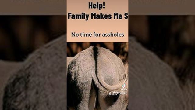 Peter S. Fischer- Help! My Family Makes Me sick! No Time For Assholes