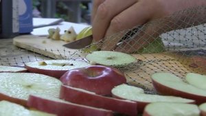 Как сохранить полезные свойства овощей и фруктов на всю зиму?