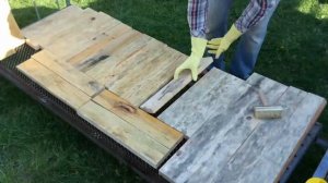 Как вывести плесень с древесины