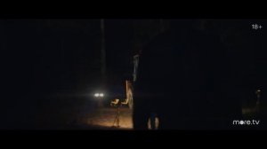 "Лебедь"-сказки Пушкина для взрослых