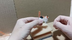 ?Миниатюрный котик из шерсти. Процесс валяния. ?