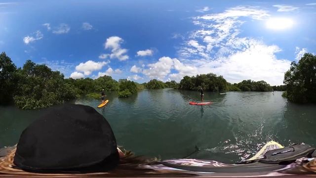 Путешествие на САПах в Мангровый лес на Бали! смотреть онлайн