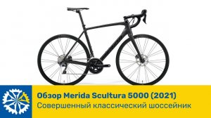 Обзор велосипеда Merida Scultura 5000(2021), совершенный классический шоссейник