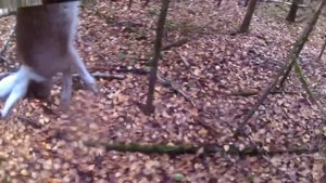 Канал "Два Охотника".