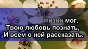 Христианские Песни Караоке*Жизнь посвящаю Тебе*2