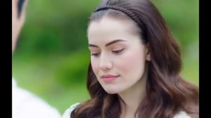 Королек Птичка Певчая  Фериде